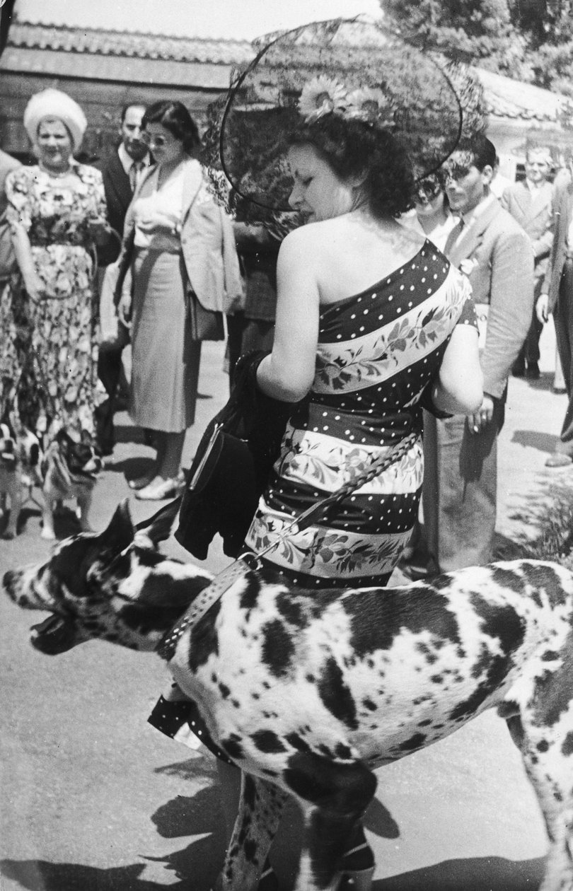 Retrato de uma senhora com um Dogue Alemão de Luigi Leoni