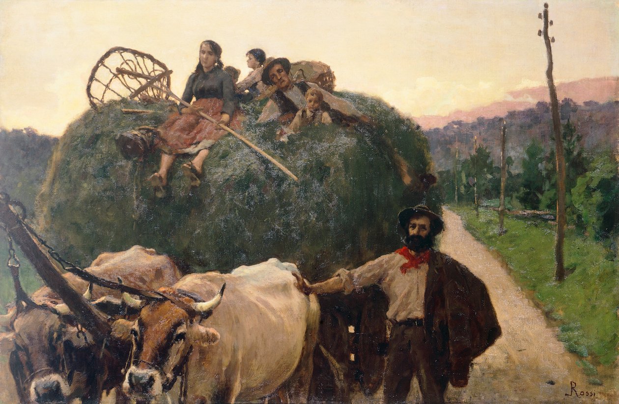 Hay de Luigi Rossi