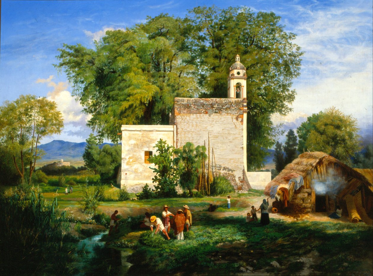 Paisagem de San Cristóbal Romita de Luis Coto