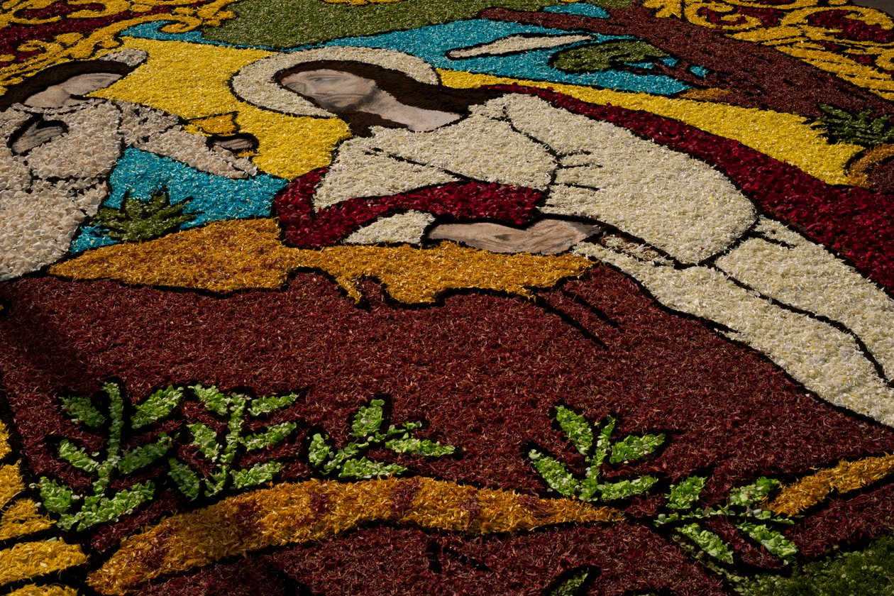 Tapete de Flores Surco da Semana Santa, Lima, Peru, 2015. de Luis Rosendo.