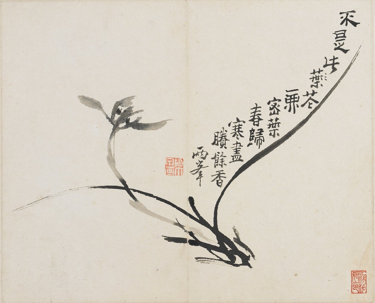 Paisagens, Flores e Pássaros: Orquídea, Dinastia Qing, 1780 (tinta sobre papel) de Luo Ping
