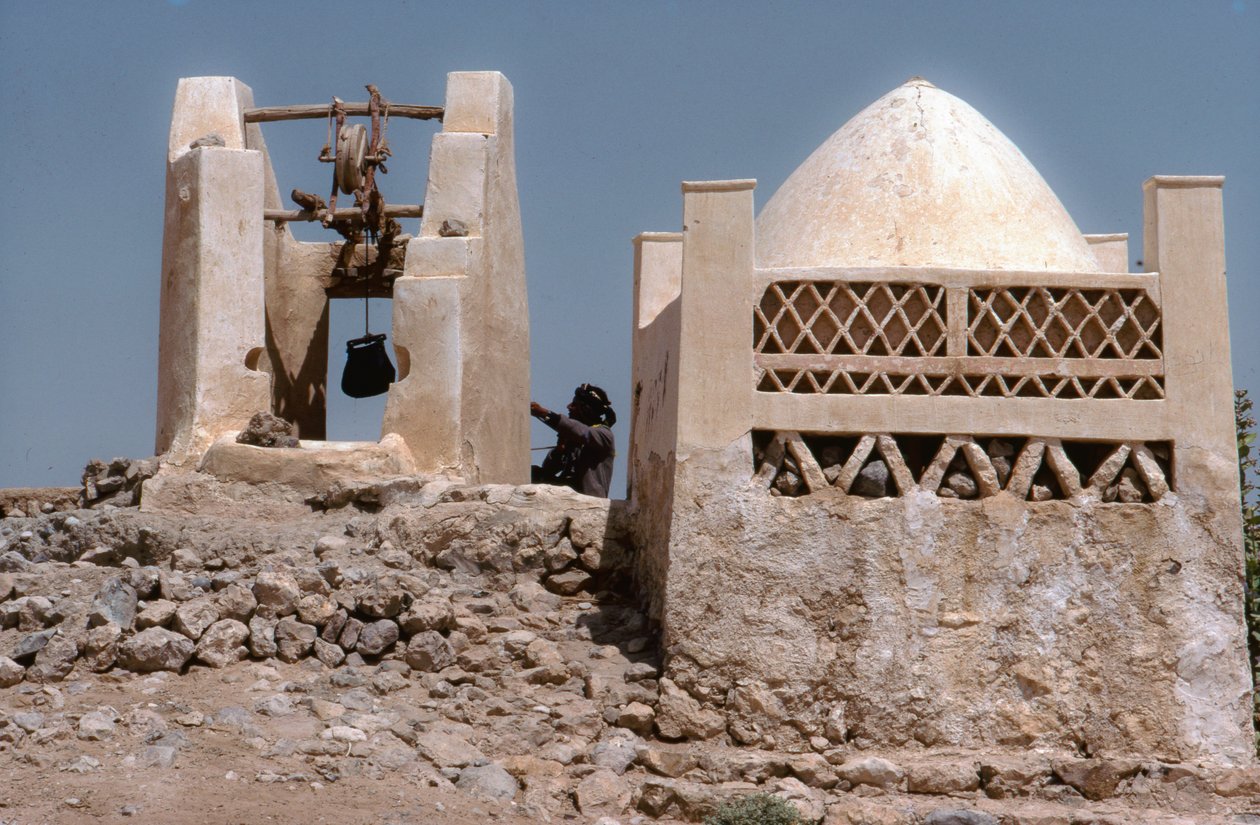 No deserto, um oásis com um poço em Husn Al-Muttahar, a sul de Tarin, no Iémen. de Lynn Abercrombie