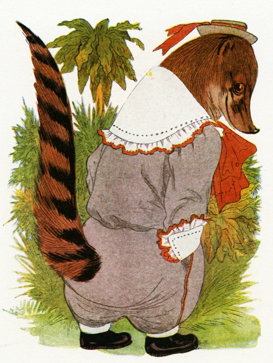 &39;Coati&39;, 1913 de Martin Ross