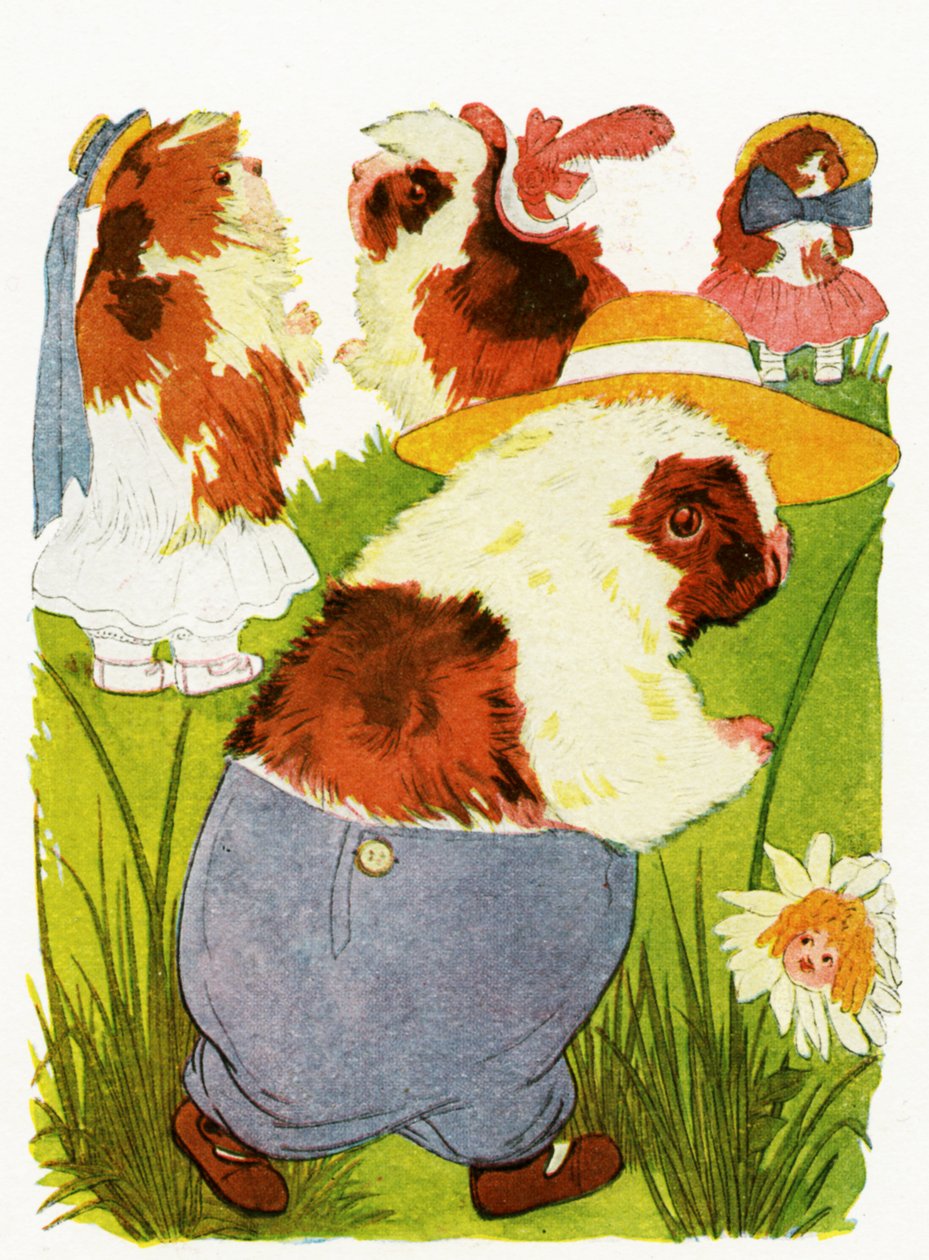 Porquinhos-da-índia, 1913 de Martin Ross