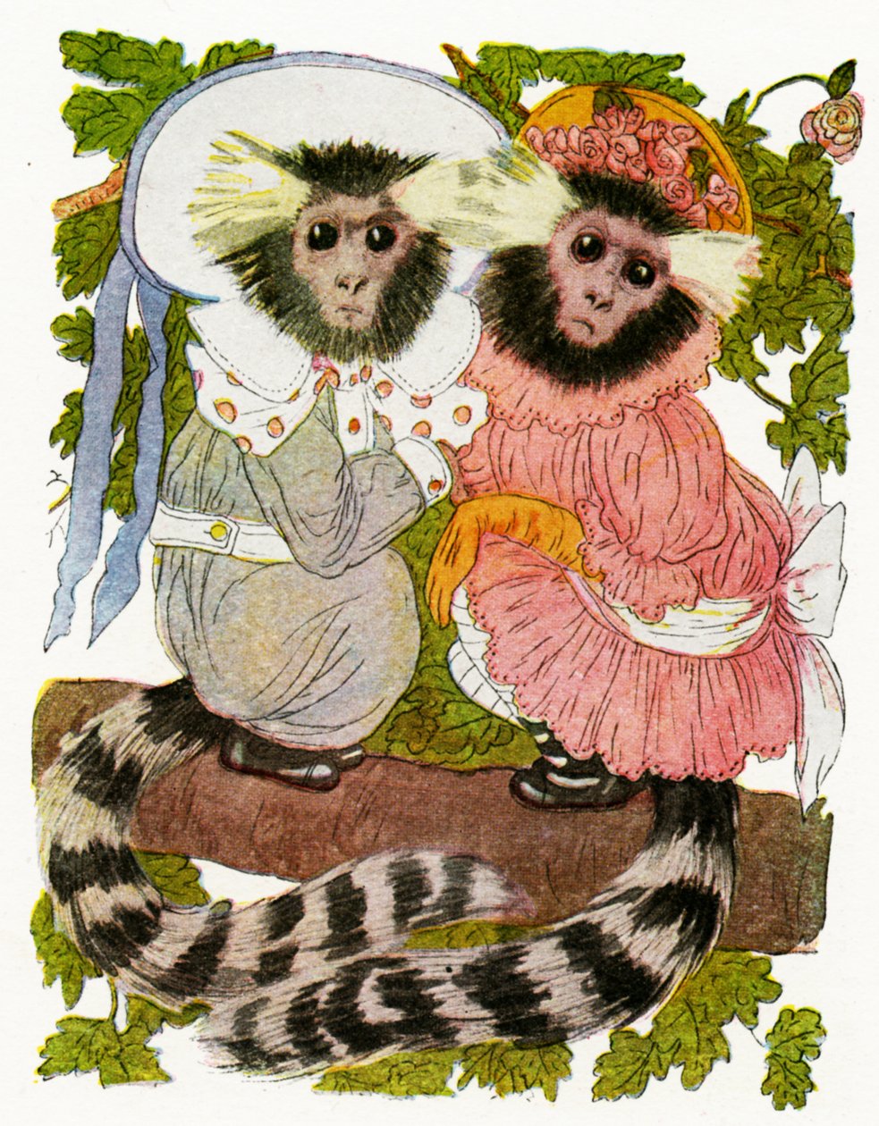 &39;The Marmoset Twins&39;, 1913 de Martin Ross