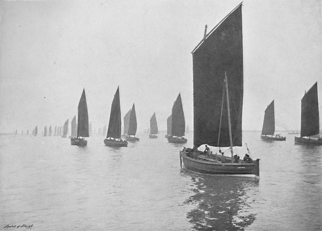 Barcos de arenque fora do Tyne, c1896 de M. Aunty