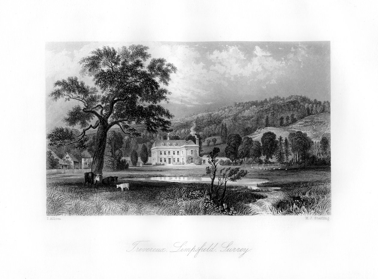 Trevereux, Limpsfield, Surrey, século XIX. de M. J. Starling