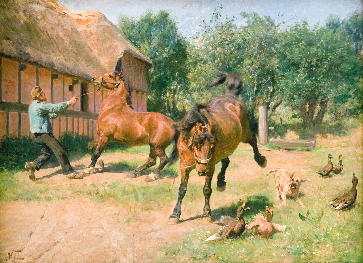Cavalos com tesão de M. Therkildsen