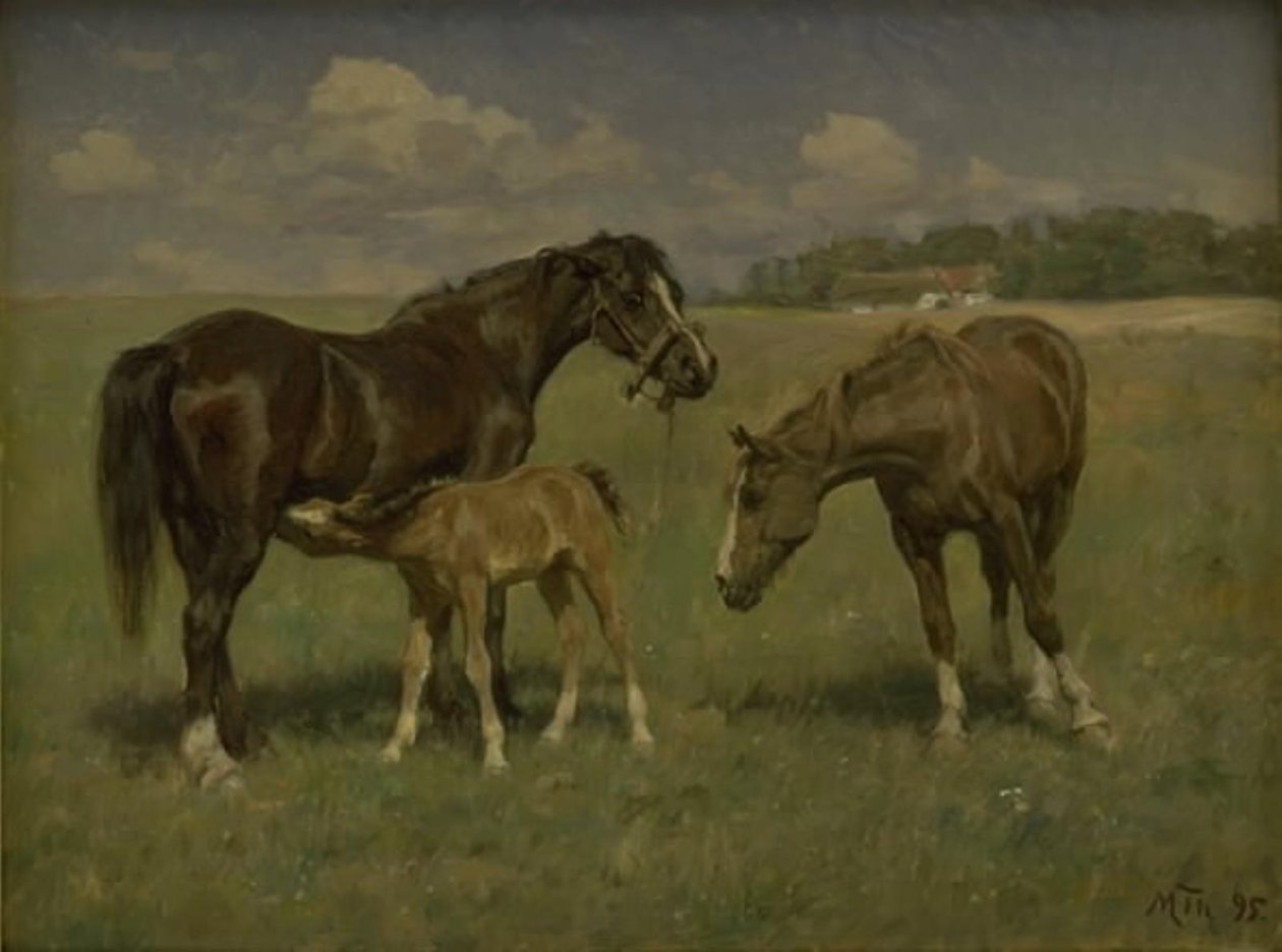 Três cavalos em um campo de M. Therkildsen