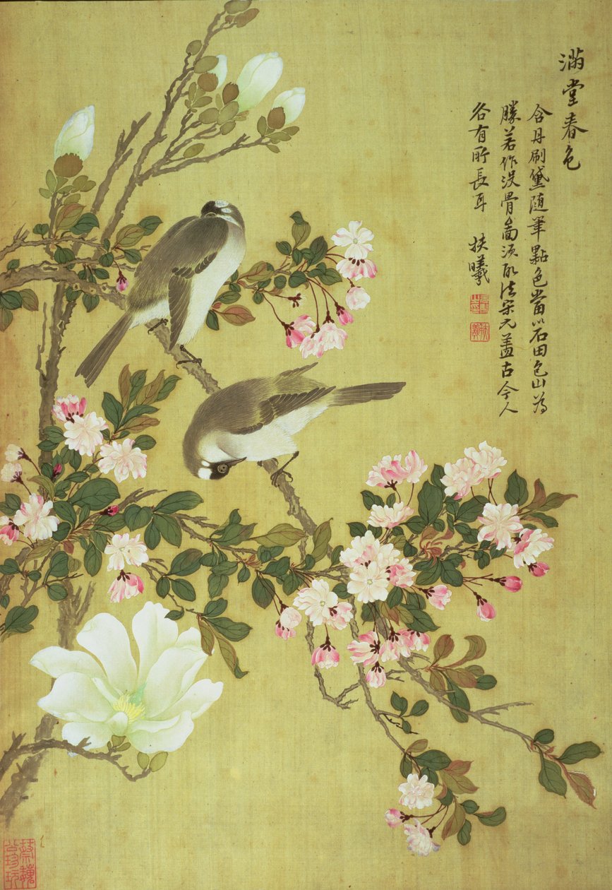 Aves de Crabapple, Magnólia e Baitou de Ma Yuanyu