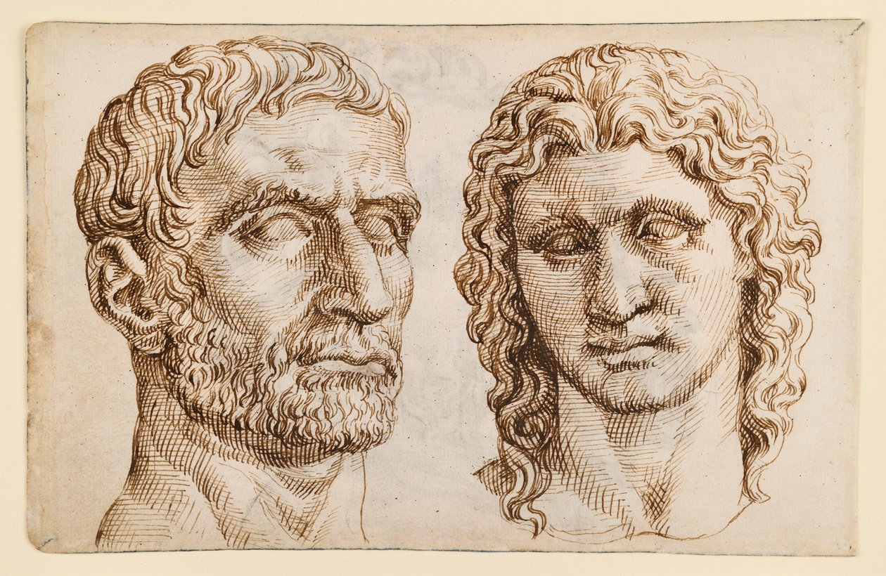 Cabeça de um homem mais velho, cabeça de um jovem de Maarten van Heemskerck