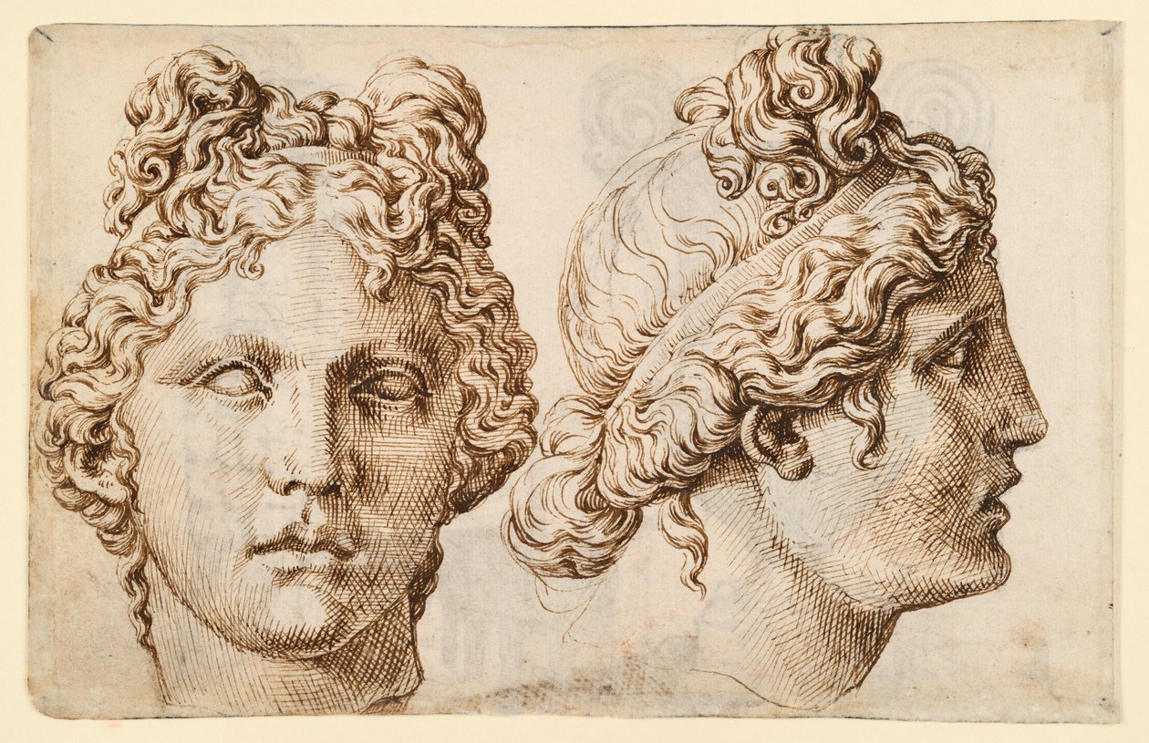 Duas vistas de uma cabeça antiga de Maarten van Heemskerck