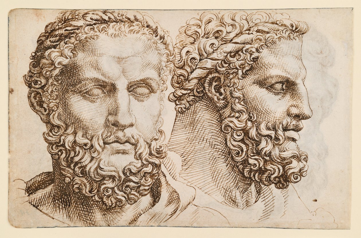 Dois estudos da cabeça do "Hércules" do Vaticano de Maarten van Heemskerck