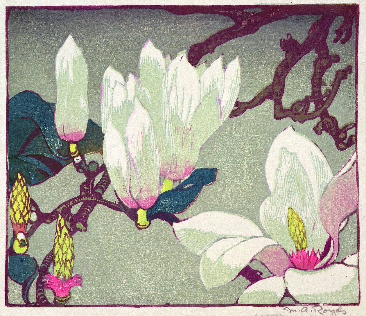 Magnólia, c.1925 (impressão em xilogravura) de Mabel Royds