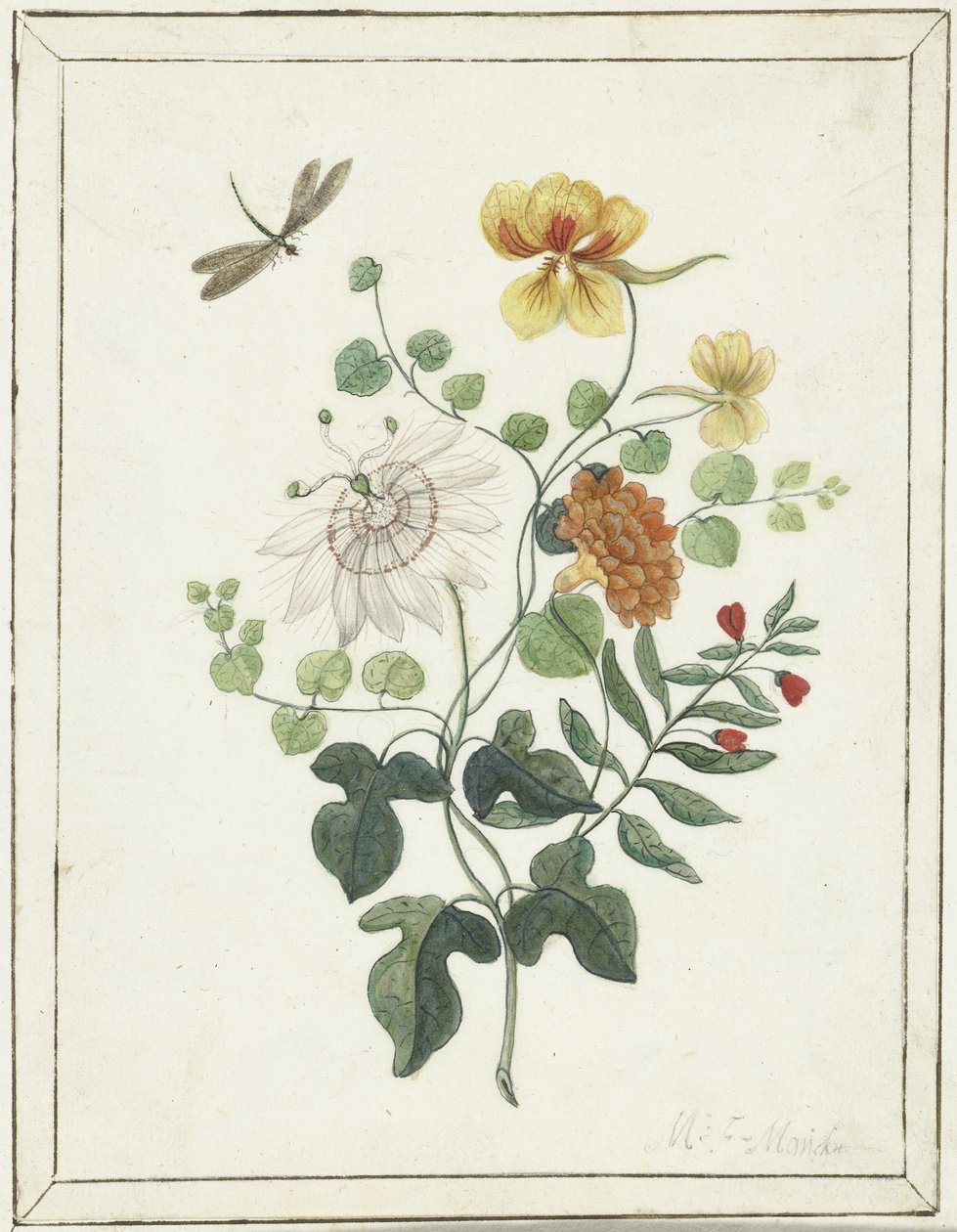 Natureza Morta das Flores de Machtelt Moninckx