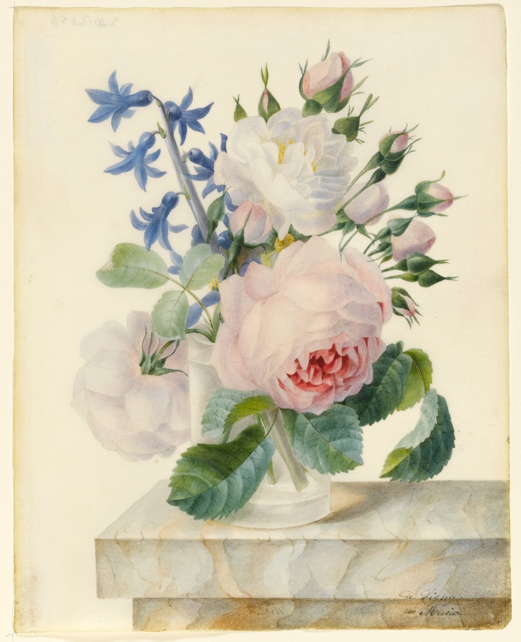 Vaso contendo um Centifolia e uma Alba Rose, com botões e um jacinto em um parapeito de mármore (grafite e wc em velino) de Madame de Ligny