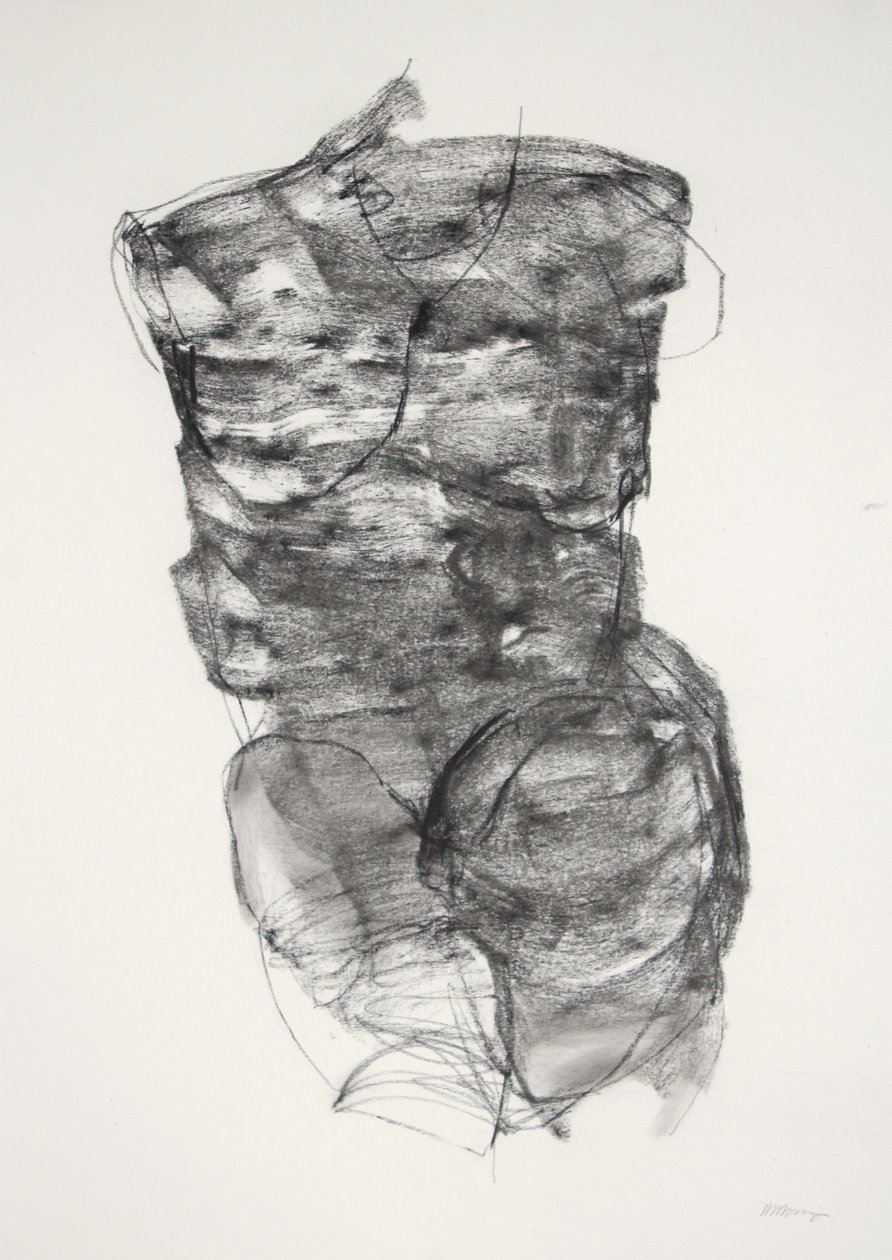 Torso 4, 2022 (carvão sobre papel) de Madgalena Morey
