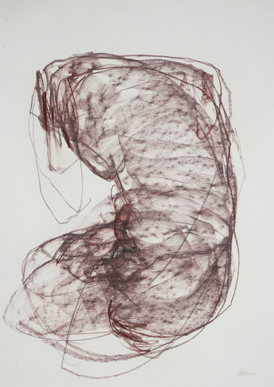 Torso 5, 2022 (carvão sobre papel) de Madgalena Morey