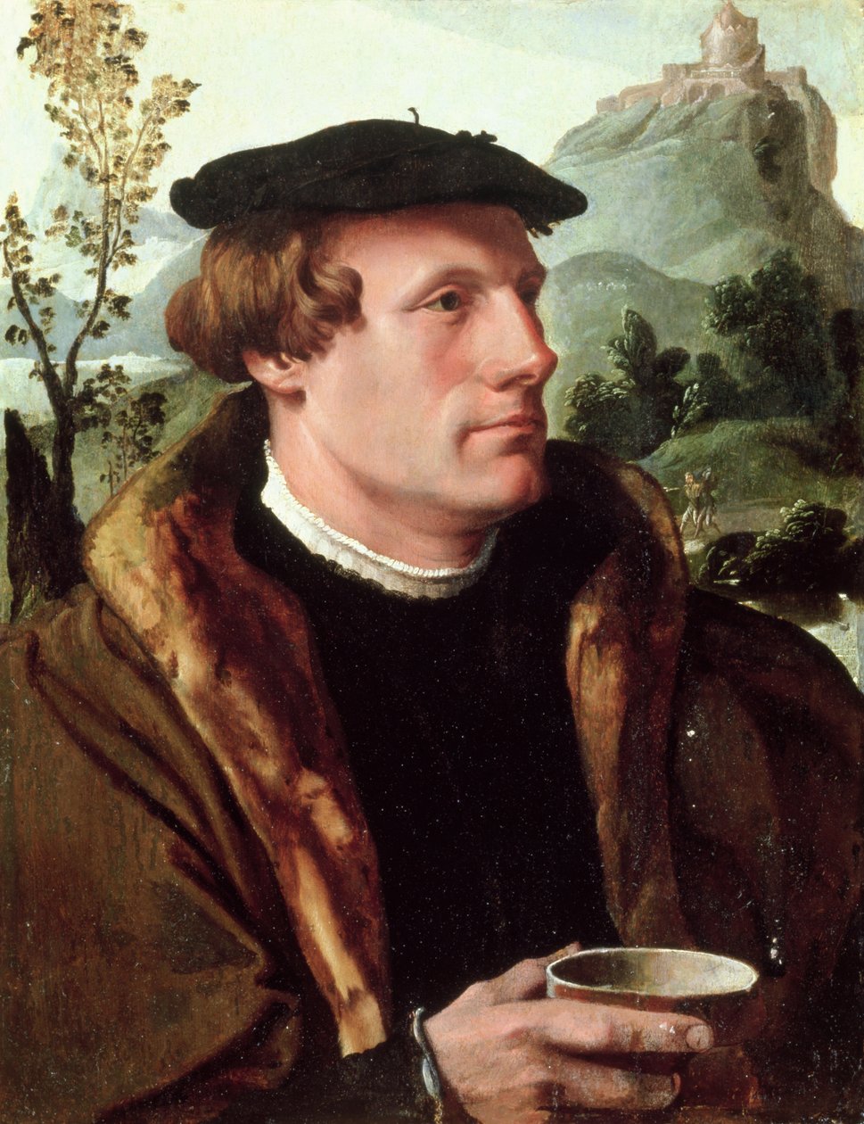 Retrato de um cavalheiro de Maerten van Heemskerck