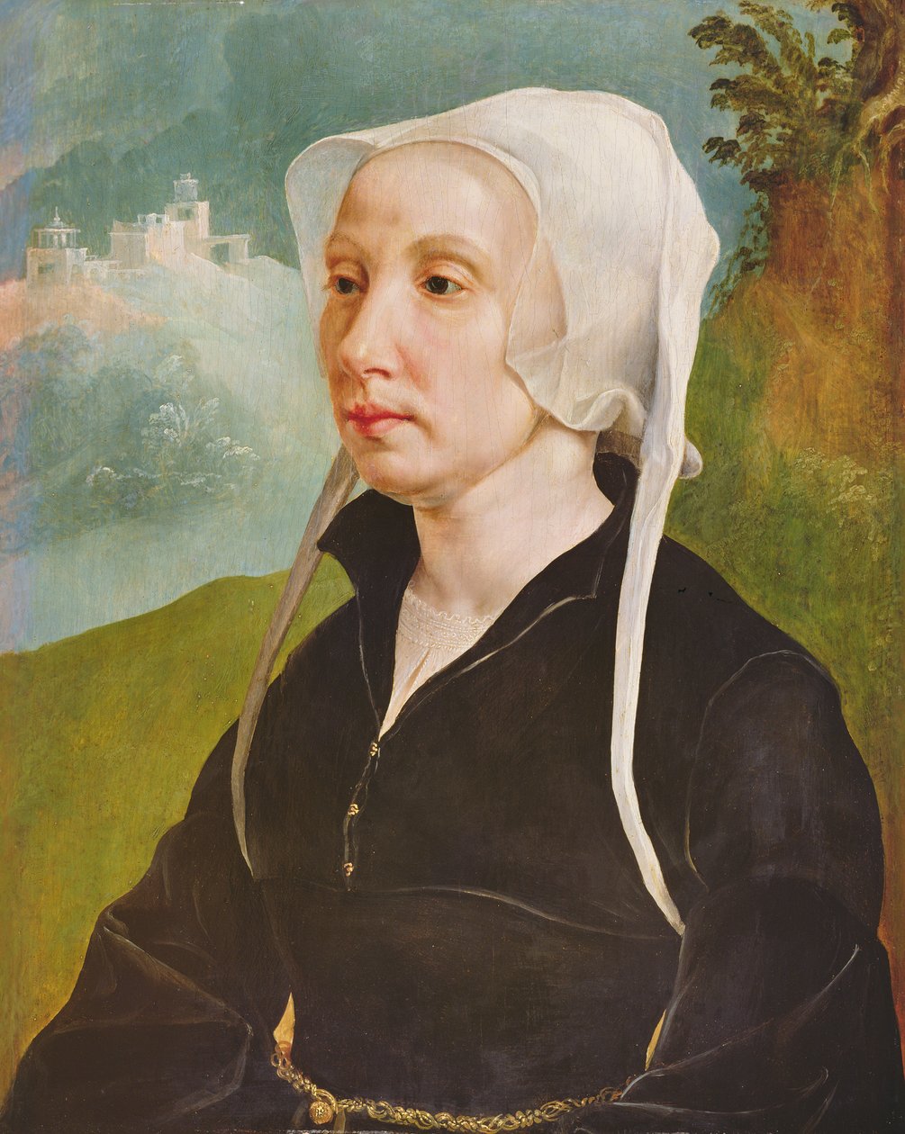 Retrato de uma mulher (óleo sobre painel) de Maerten van Heemskerck