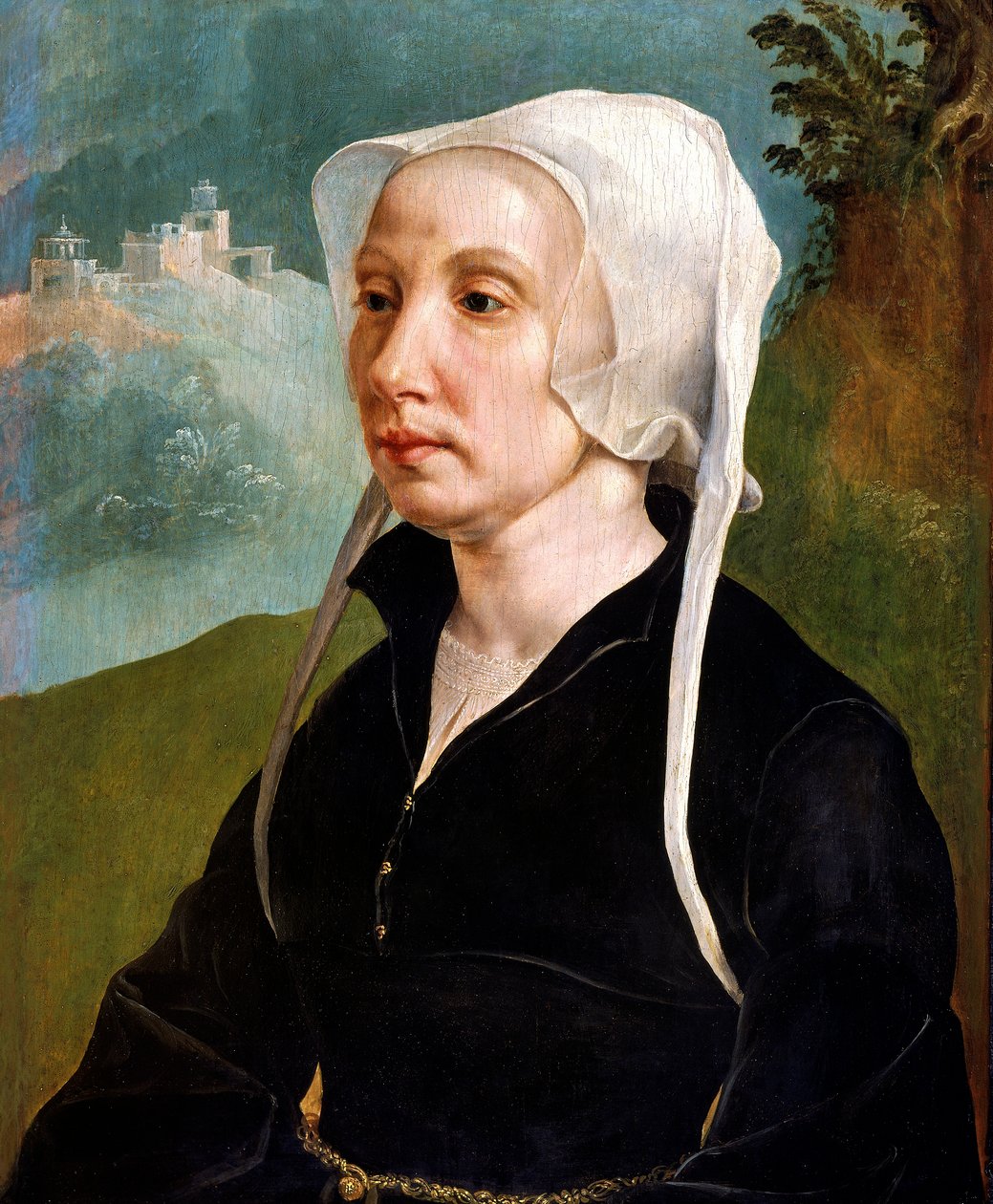 "Retrato de uma Mulher", c1540 de Maerten van Heemskerck