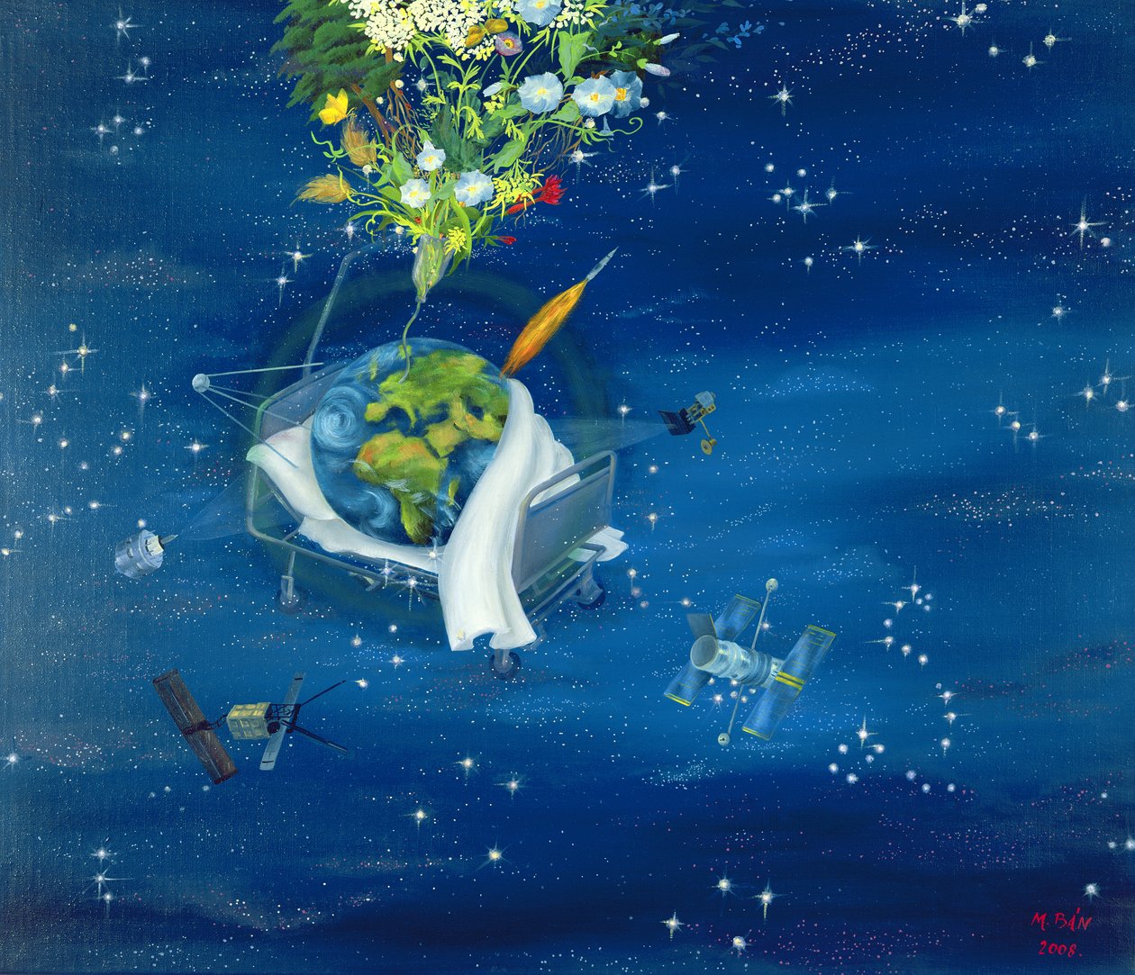 Terra Doente, 2008 de Magdolna Ban