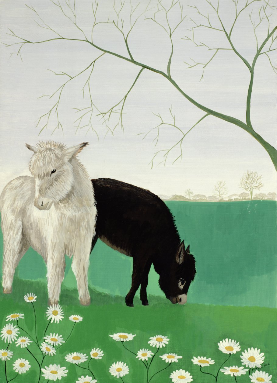 Burros e Margaridas de Maggie Rowe