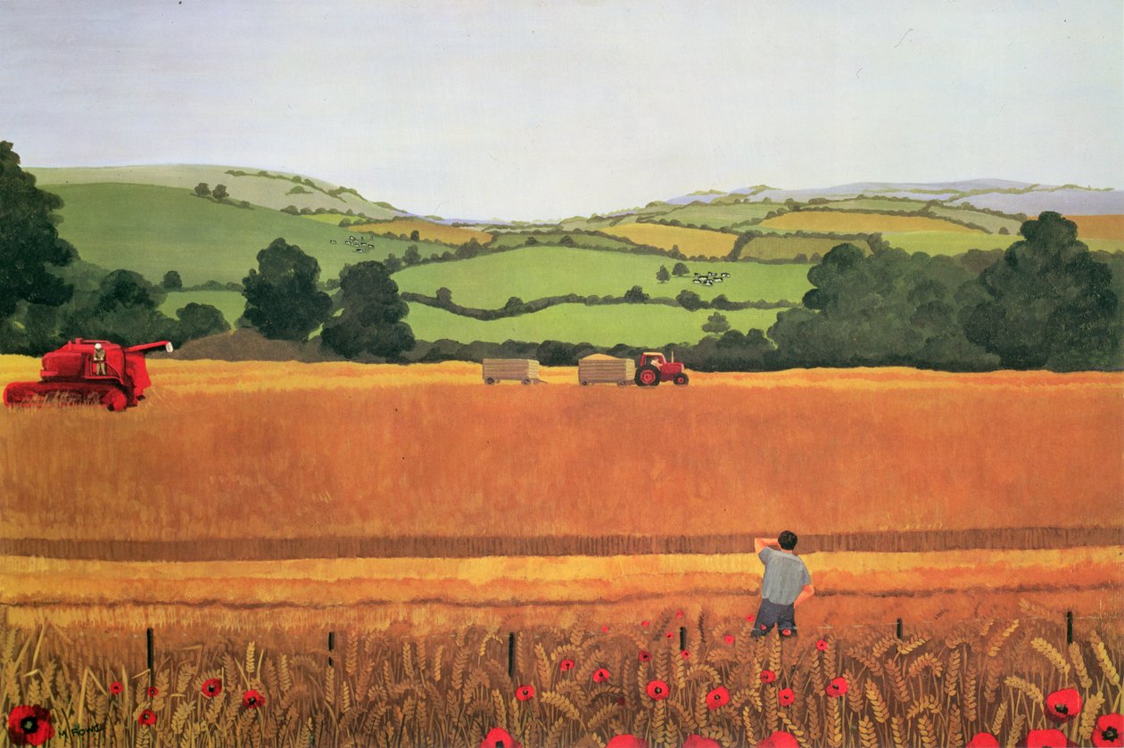 Colheita nas Cotswolds de Maggie Rowe