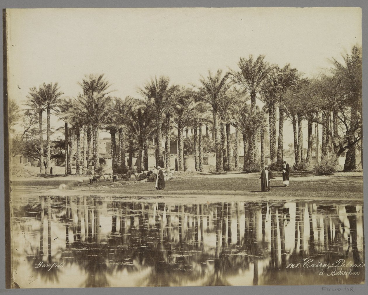Homens com cabras sob palmeiras à beira da água em Bedrechen Caire, Palmie[(...)] à Bedrecken (título do objeto) de Maison Bonfils