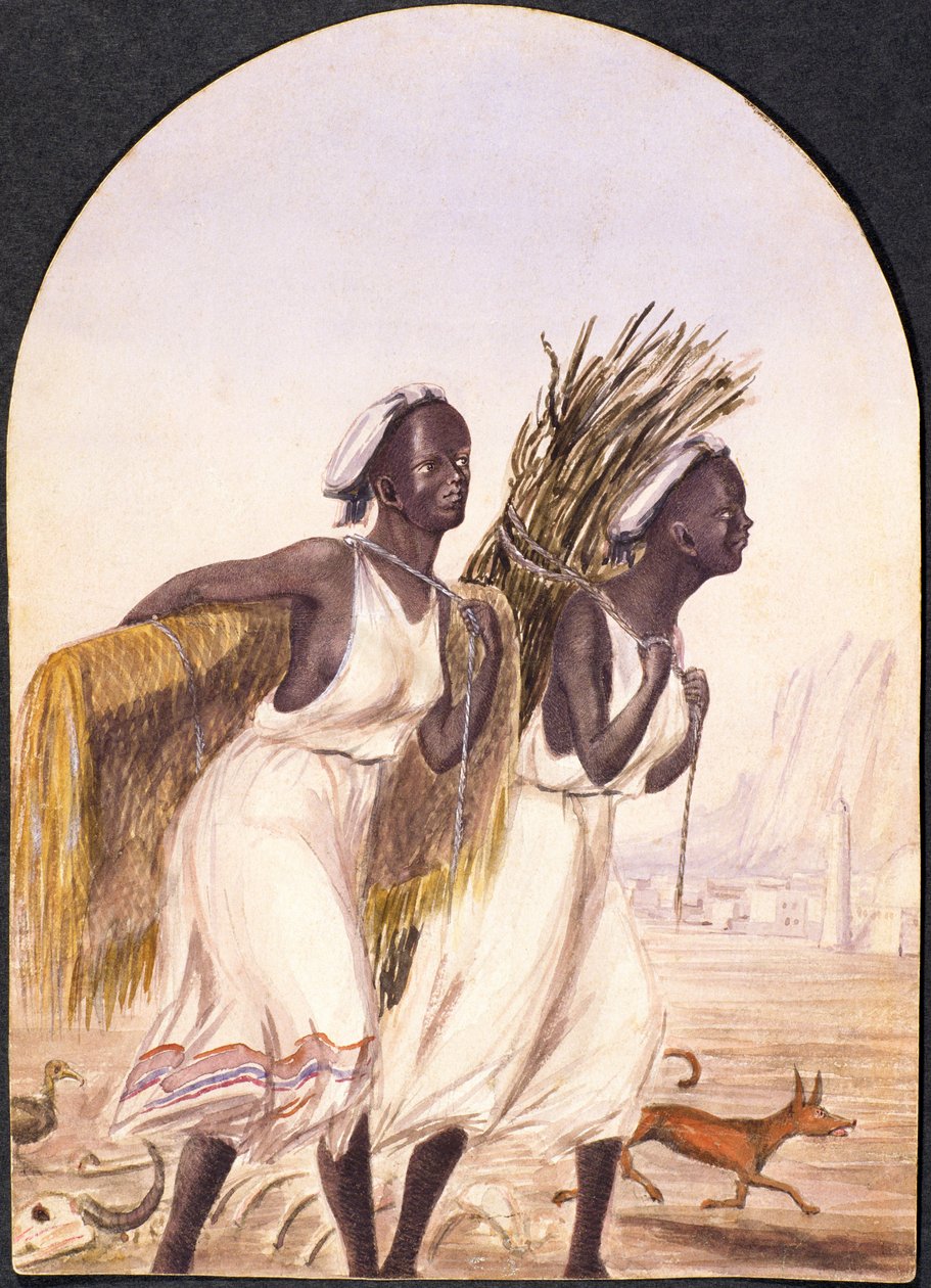 Mulheres somalis em Aden, 1858 (wc no papel) de Maitland Warren Bouverie Pasley