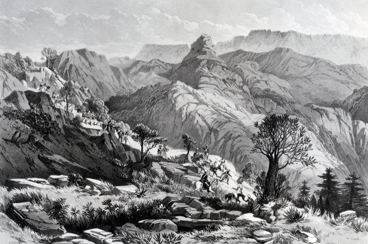 Na marcha perto de Dongolo, gravada por James Ferguson, 1868 de Major A.G.F. Hogg
