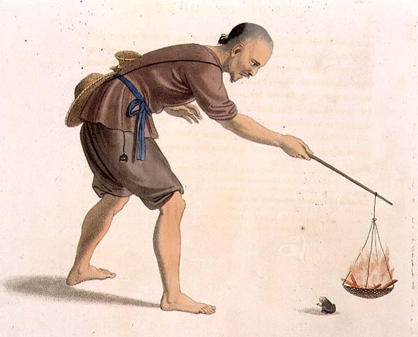 A Frog Catcher, placa 7 de 