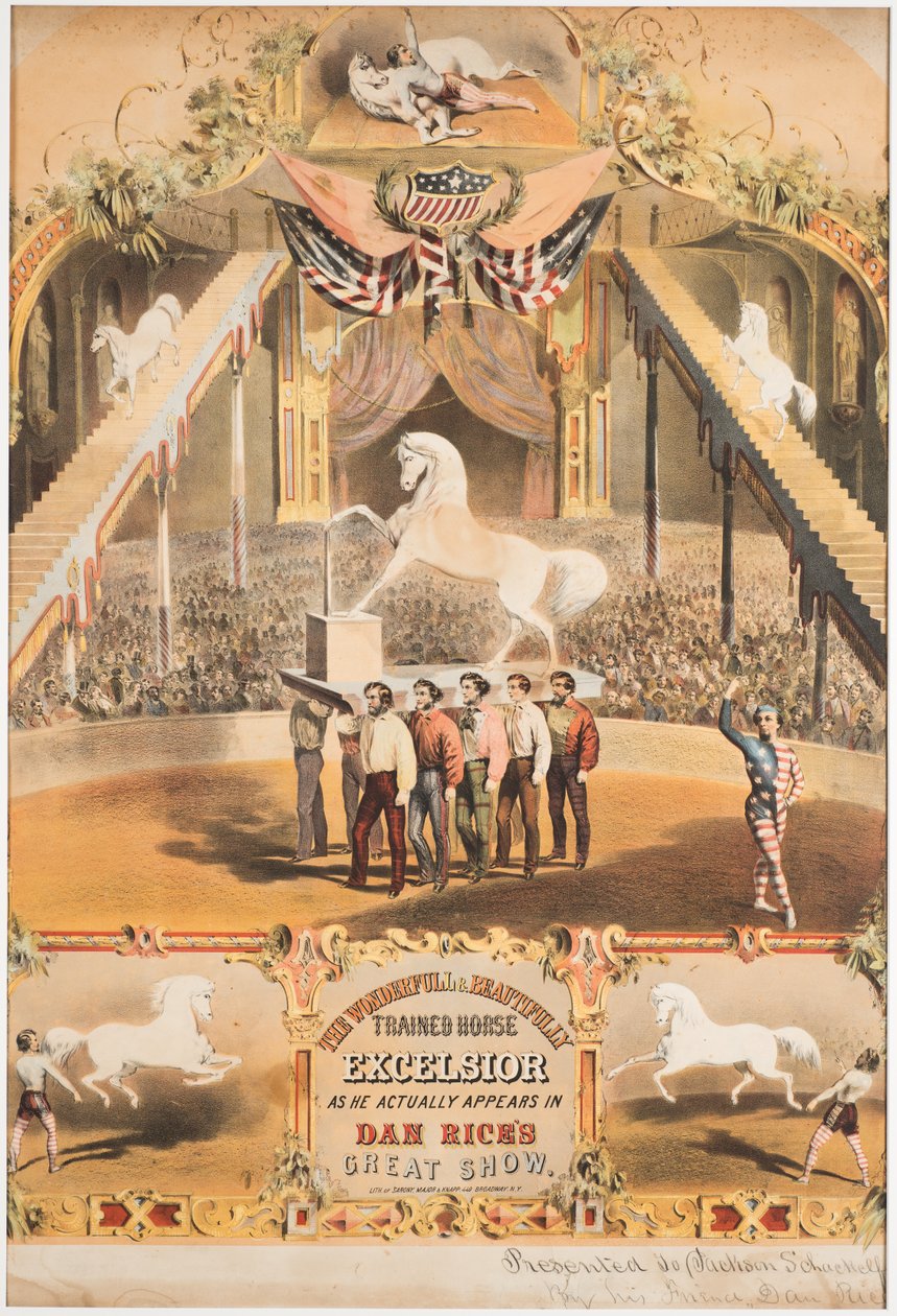 O maravilhoso e maravilhosamente treinado cavalo Excelsior, c.1840 (chromolitho) de Major and Knapp Sarony