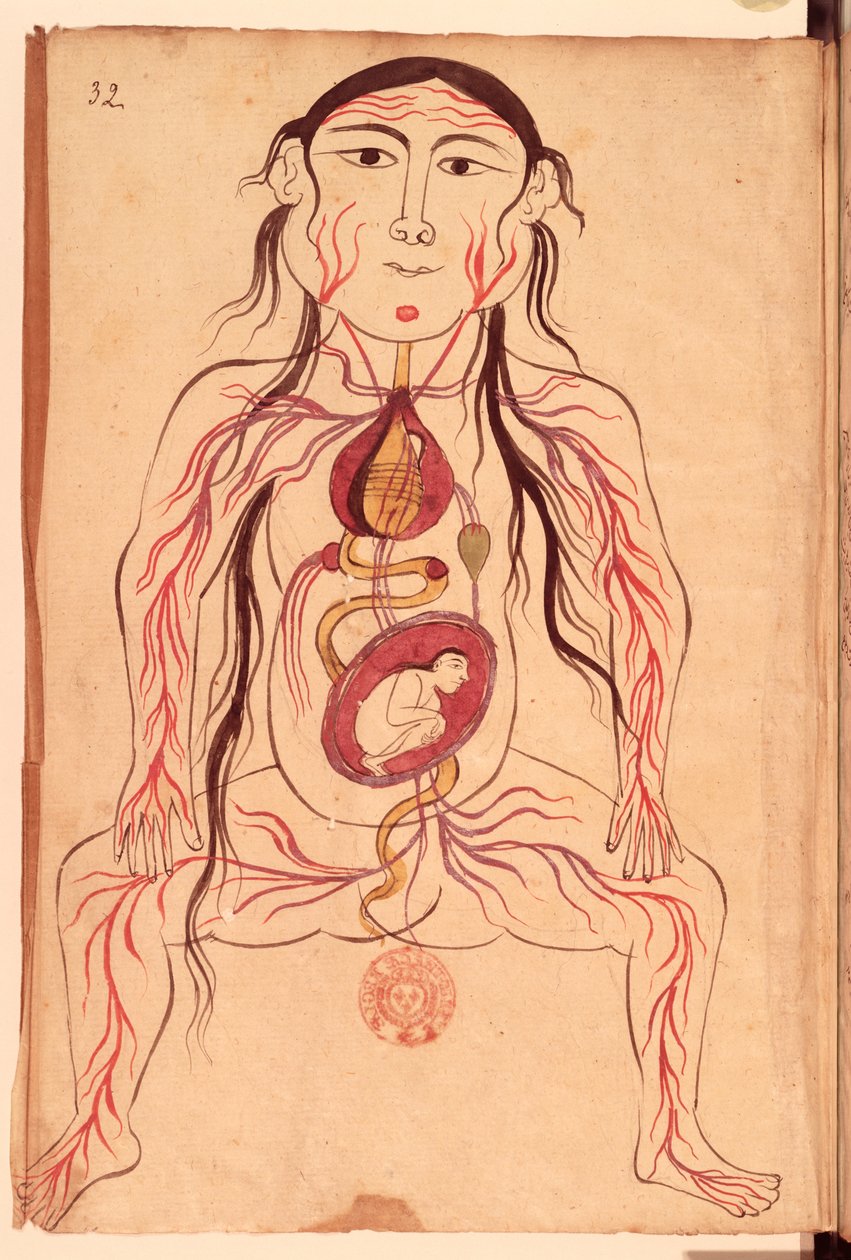Ms Persan 151 Fol.32 Diagrama anatômico de uma mulher e seu feto de Mansour b. Eliyas Chirazi