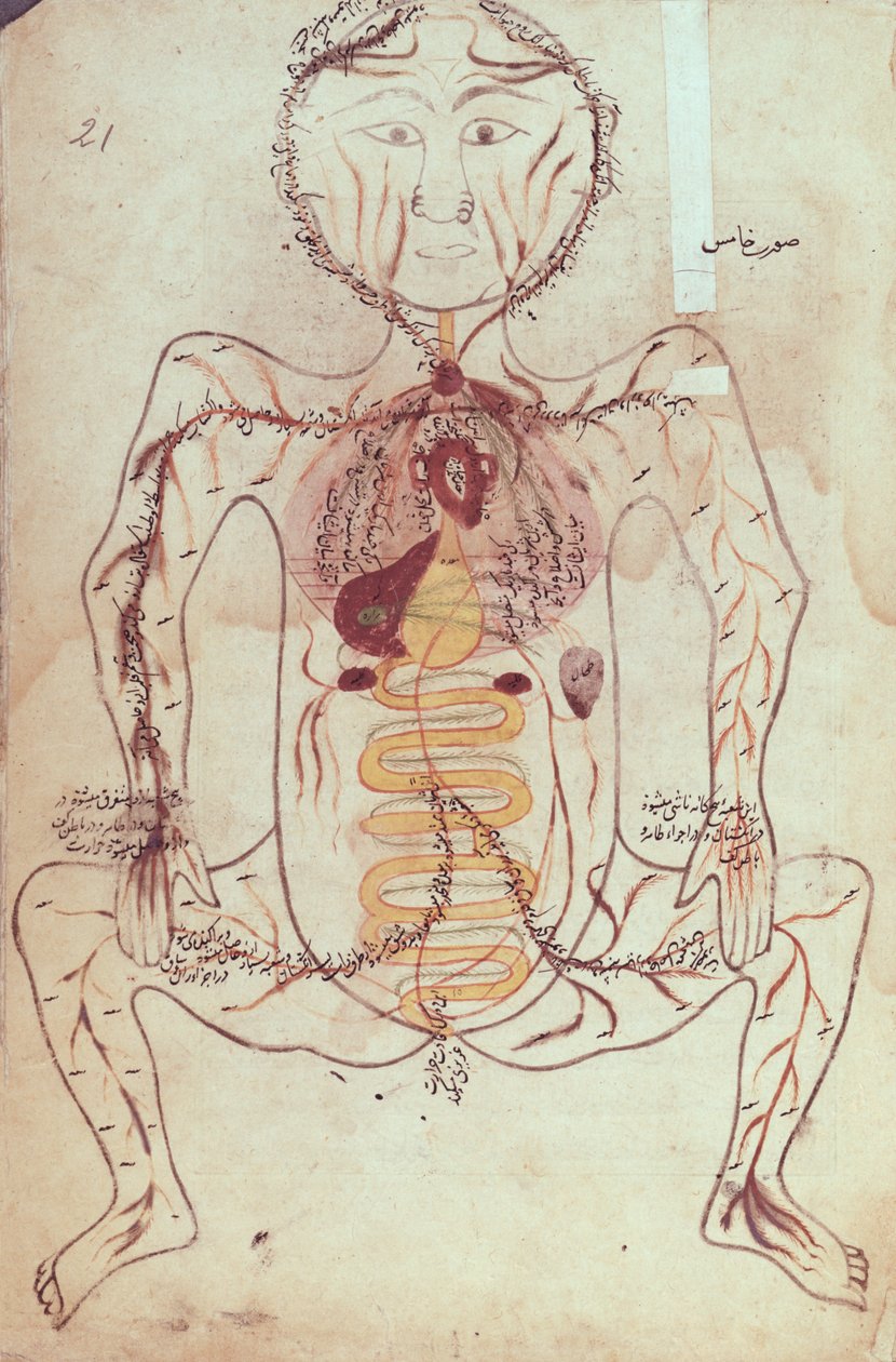 Ms Persan 1555 Diagrama anatômico do sistema circulatório e digestivo humano, c.1425-50 de Mansour b. Eliyas Chirazi