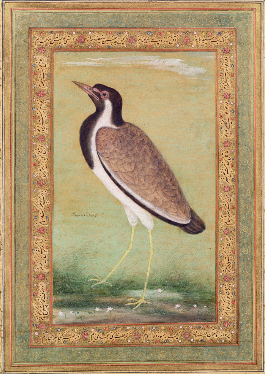 Abibe indiano, c.1800 de Mansur