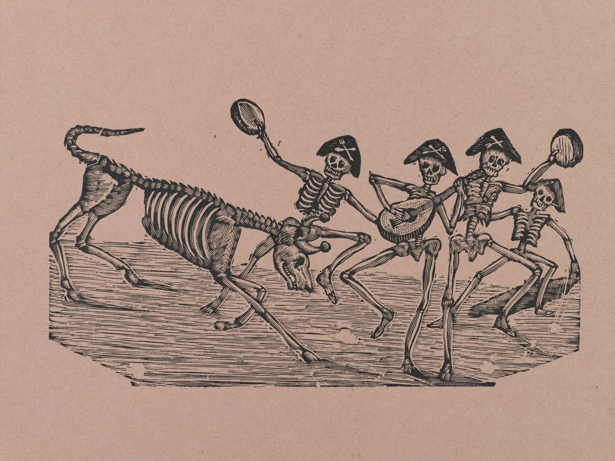 Touro de Esqueleto, de 330 Grabados Originales, impresso por Antonio Vanegas Arroyo (1850-1917), Cidade do México, México (gravura em relevo) de Manuel Manilla