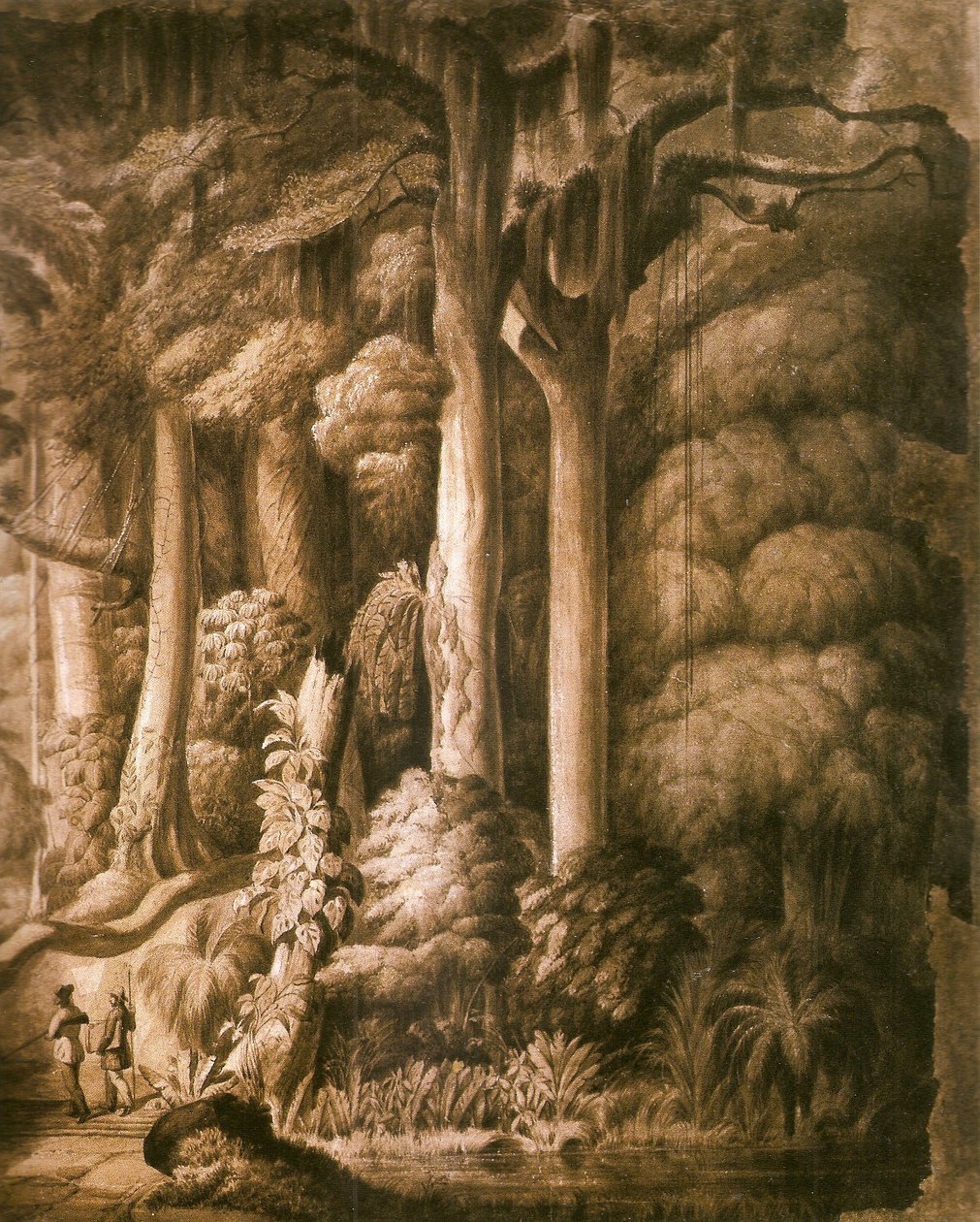 Detalhe da floresta brasileira de Manuel Araújo de Porto Alegre