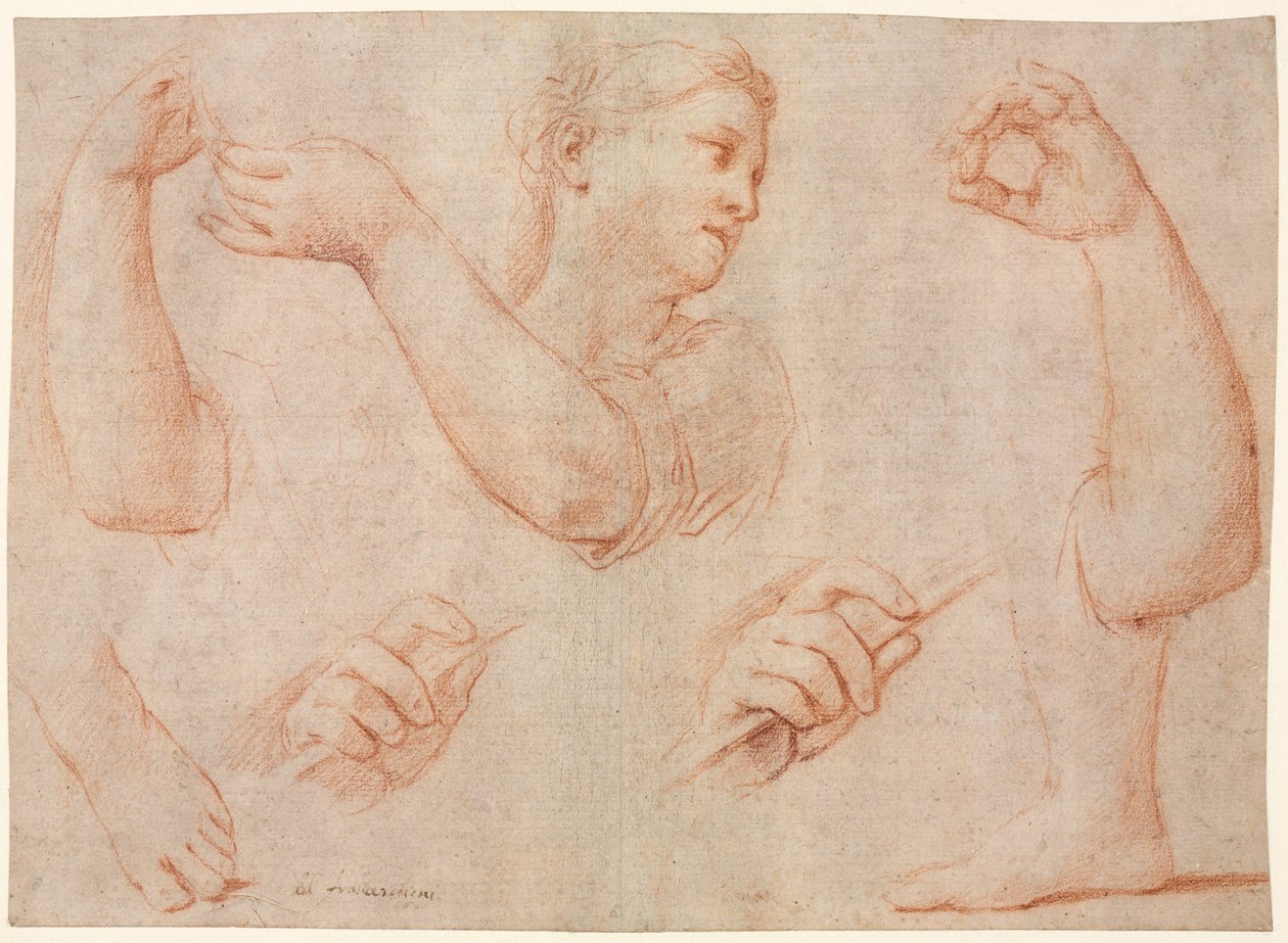 Estudo de uma jovem tocando um pandeiro e estudos de um braço, mãos e pés (estudos para "Miriam liderando o coro de mulheres que agradecem pelo encaminhamento do faraó" de Marcantonio Franceschini