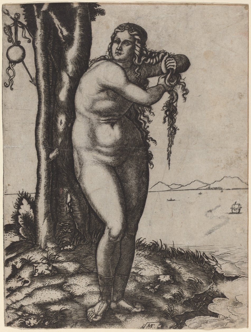 O Nascimento de Vênus de Marcantonio Raimondi