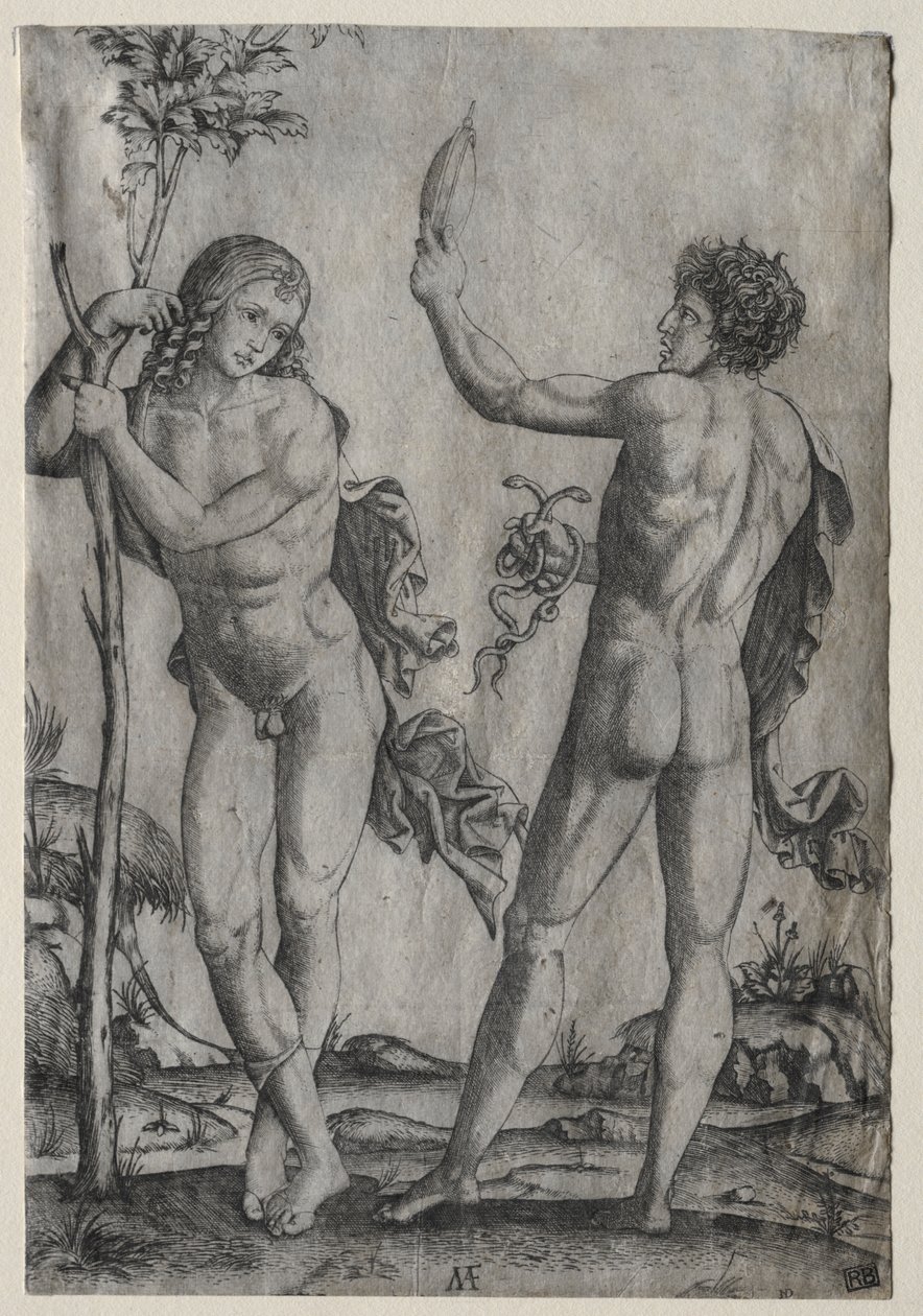 Dois homens nus ao lado de uma árvore de Marcantonio Raimondi