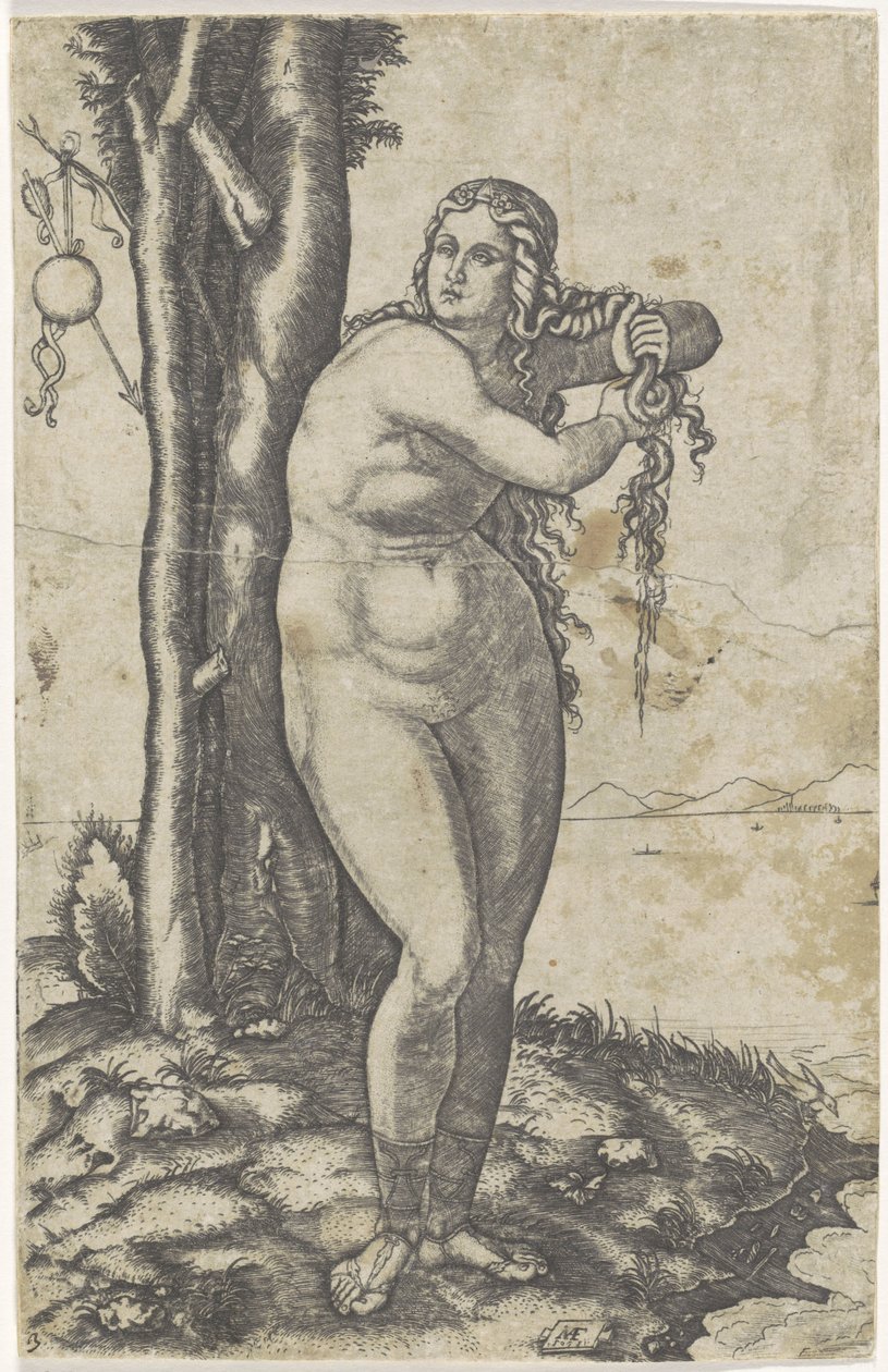 Vénus fica em frente ao mar e torce a água do seu cabelo
Nascimento de Vénus de Marcantonio Raimondi