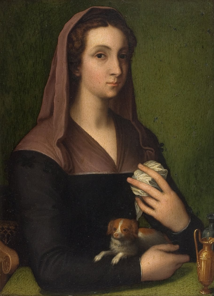 Um retrato de uma senhora (óleo no painel) de Marcello (follower of) Venusti