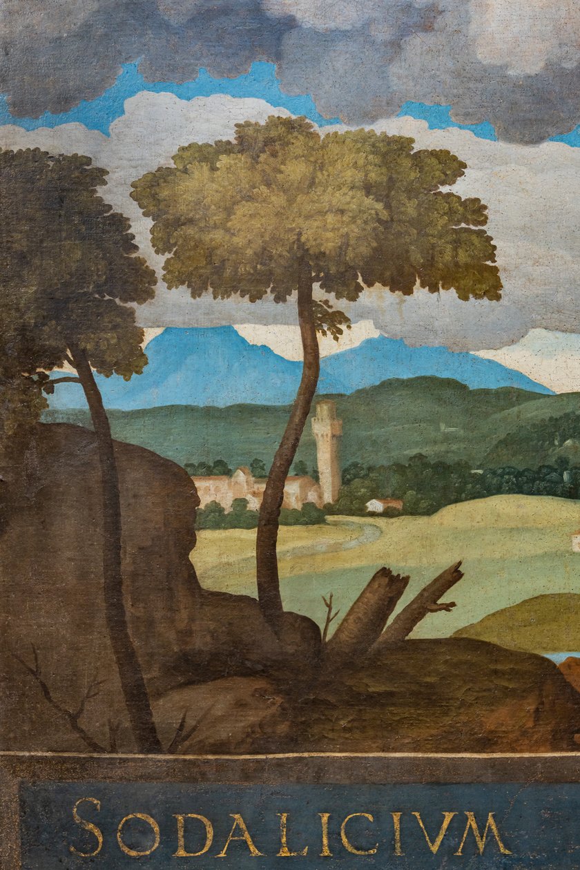 Pormenor da cidade de Vicenza de Marcello Fogolino