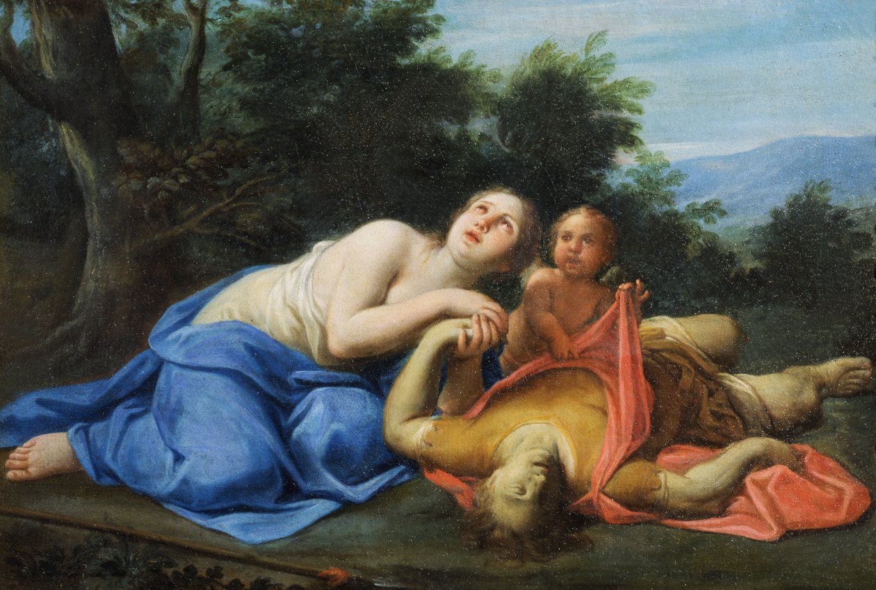 Imagem desconhecida de Marcantonio Franceschini