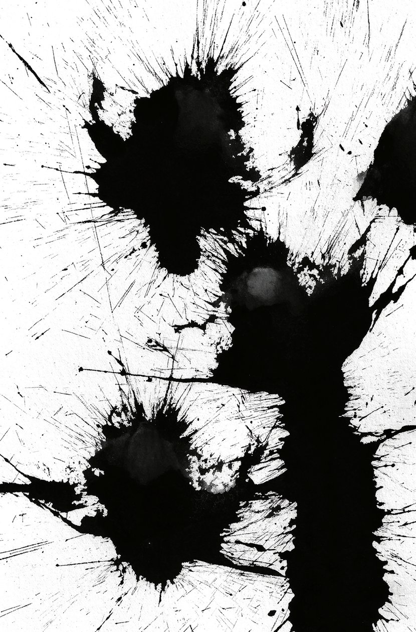 Borrão, 2014 (tinta sobre papel) de Marco Campedelli