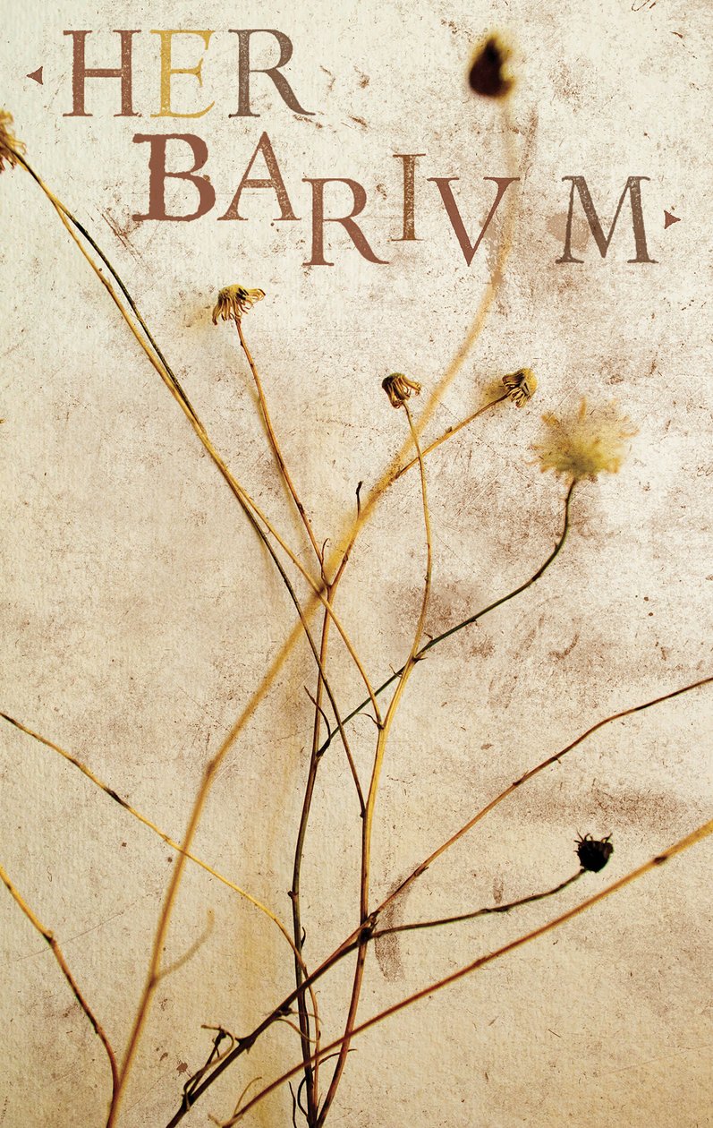 Herbário, 2014 (técnica mista) de Marco Campedelli
