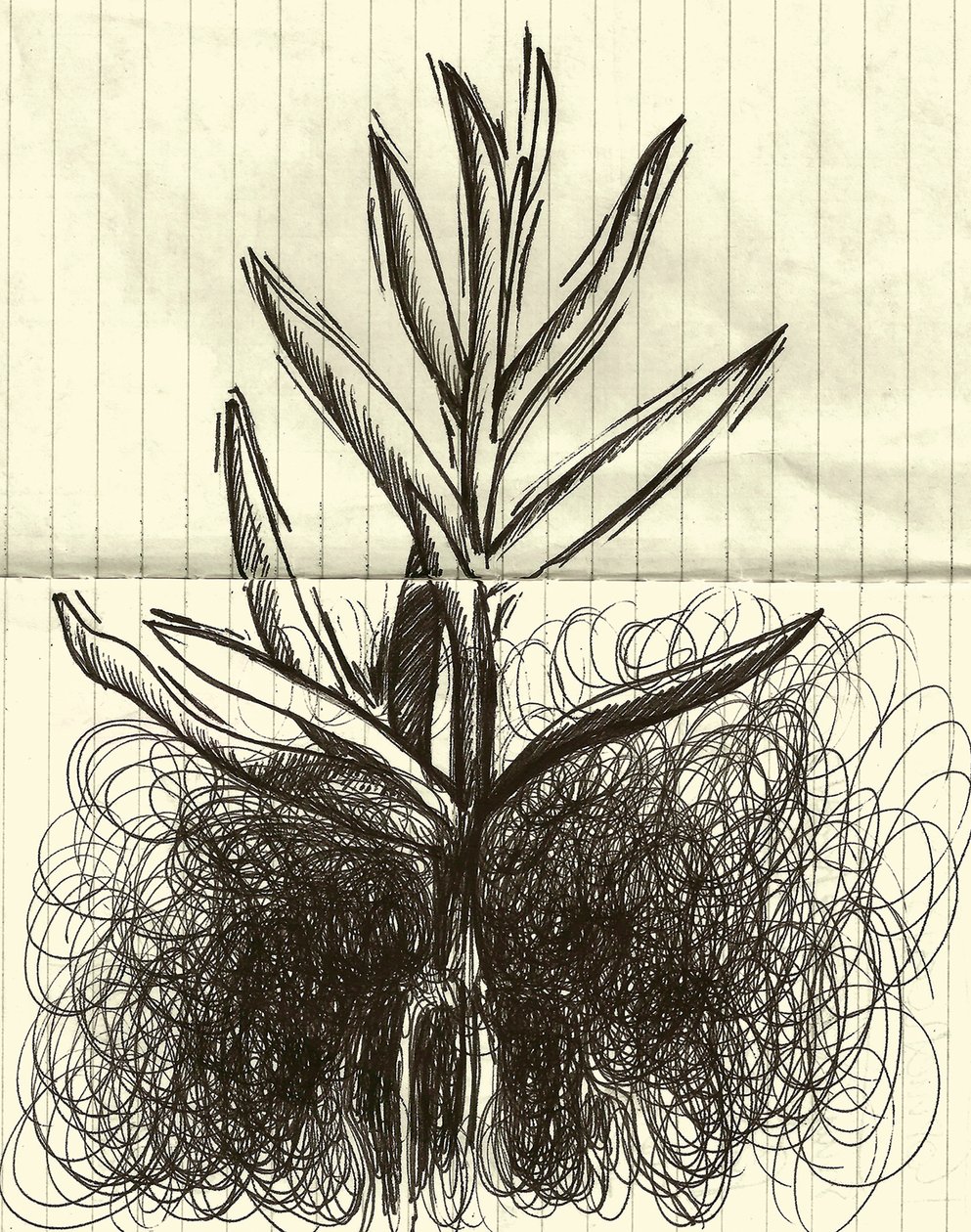 Planta, 2014 (tinta sobre papel) de Marco Campedelli