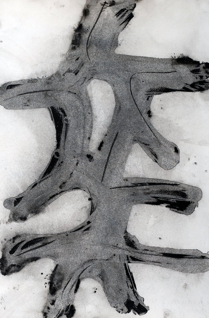 Ramas, 2014 (tinta sobre papel) de Marco Campedelli