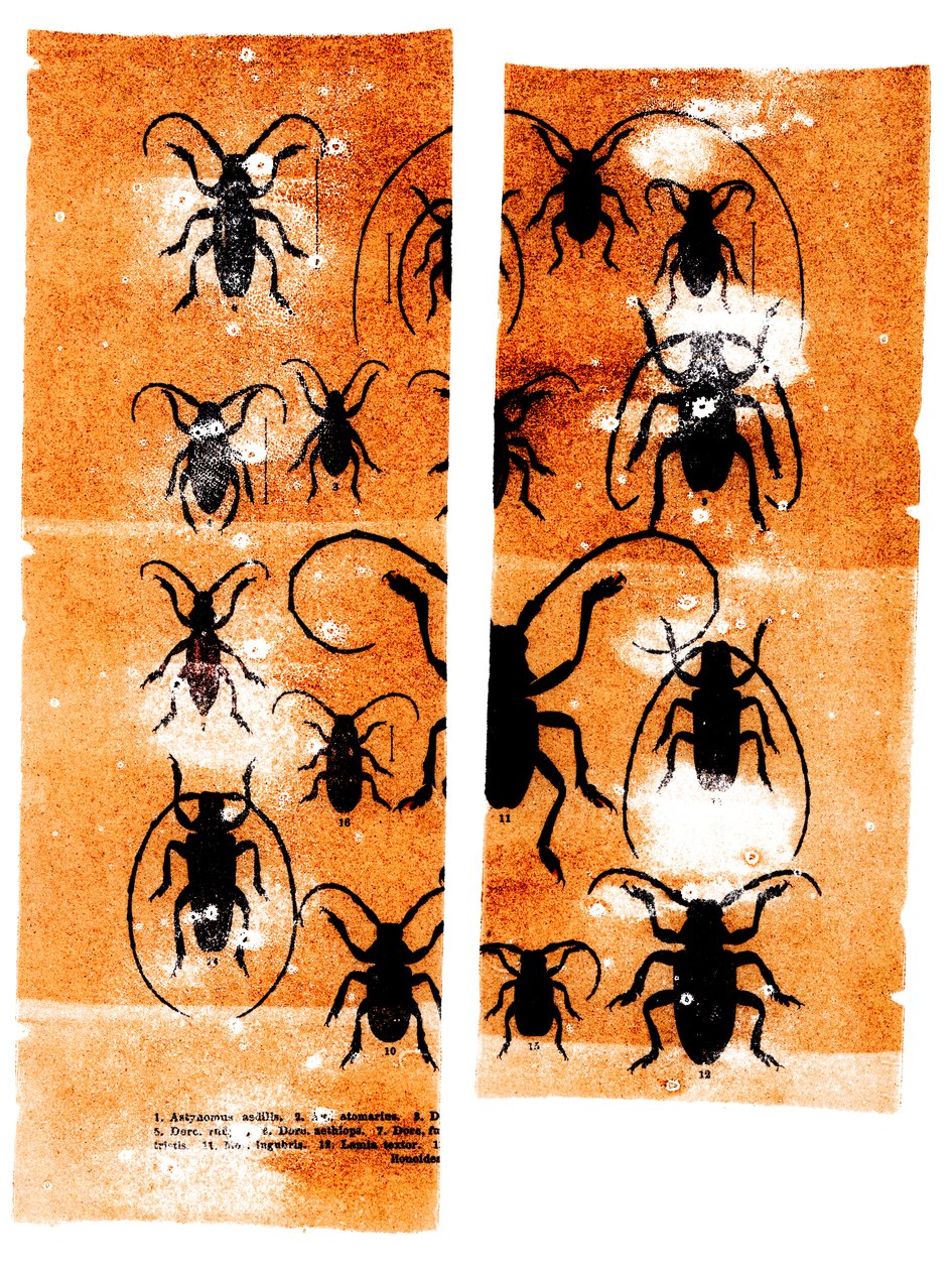 Scarfaces, 2023 (técnica mista) de Marco Campedelli
